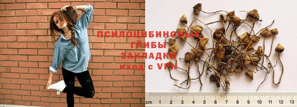 спайс Армянск