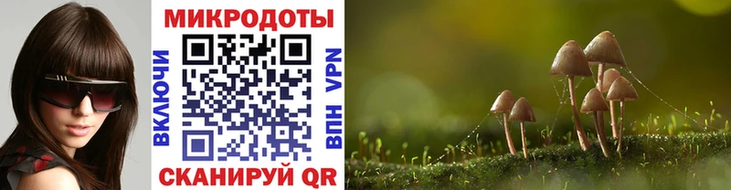 Галлюциногенные грибы мухоморы Луза